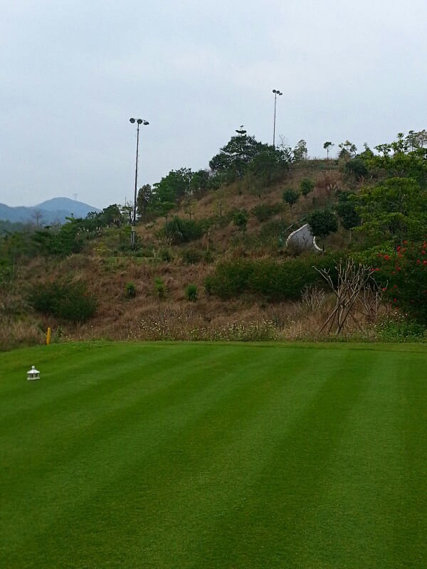 lighting mast on the hill